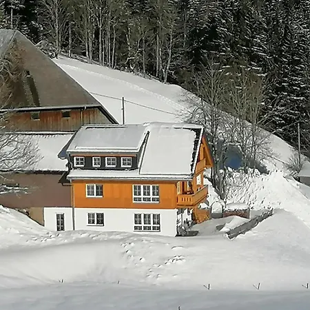 Gaestehaus Zur Alten Muehle Lejlighed Vöhrenbach