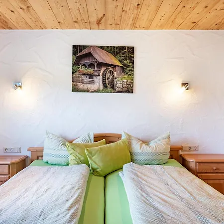 Lägenhet Gaestehaus Zur Alten Muehle Vöhrenbach