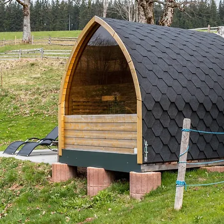 Gaestehaus Zur Alten Muehle Lägenhet Vöhrenbach